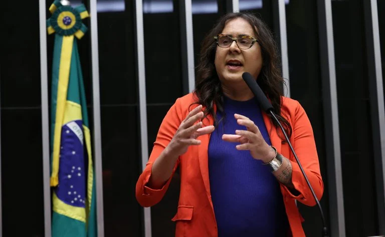 Câmara aprova plano nacional para reduzir atropelamentos de animais silvestres em estradas - Notícias