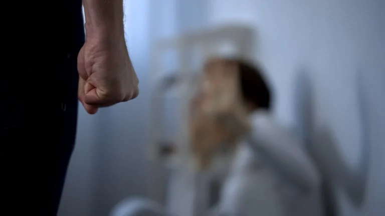 Comissão da Câmara debate sistema de Pernambuco que acelera medidas protetivas e combate a violência contra mulheres: Nioj Maria da Penha pode virar modelo nacional Comissão debate sistema criado em Pernambuco para combater a violência contra mulheres - Notícias
