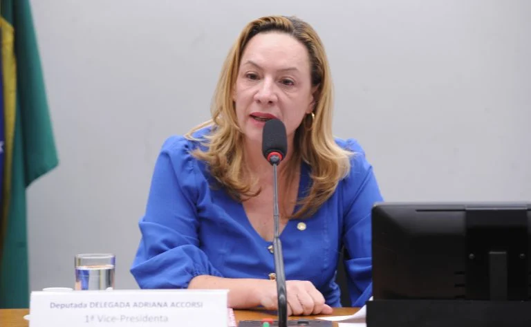 Comissão aprova ampliação gradual de delegacias especializadas de atendimento à mulher: entenda o PL 485/26 e o impacto para municípios com mais de 20 mil habitantes Comissão aprova ampliação gradual de delegacias especializadas de atendimento à mulher - Notícias